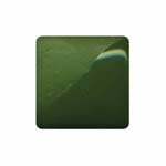 Axner Colored Porcelain Evergreen