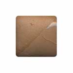 Axner Colored Porcelain Tan